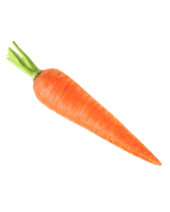 Carrot